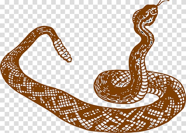 Snake Black and white Black mamba Drawing , Snake Reading transparent background PNG clipart