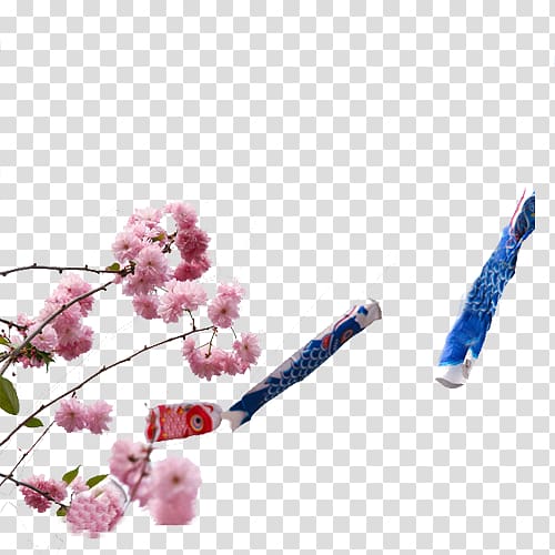 National Cherry Blossom Festival Common carp, Sakura and carp flag transparent background PNG clipart