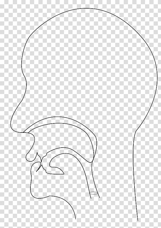 Drawing Line art, section transparent background PNG clipart