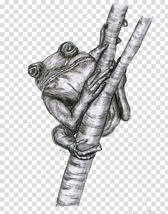 Frog Black and white Drawing Toad Sketch, Sketch Frog transparent background PNG clipart