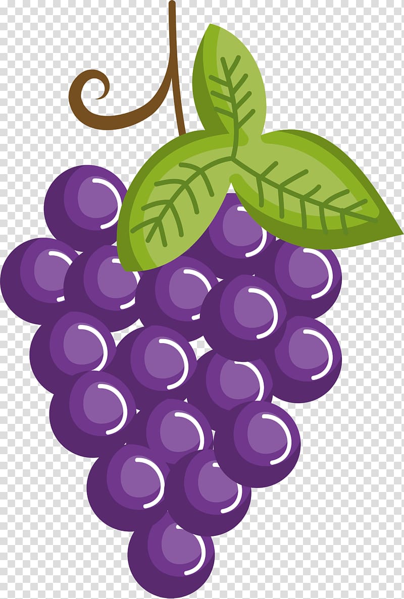 Sketch of bunch grapes Stock Vector by ©vitasunny 64613529