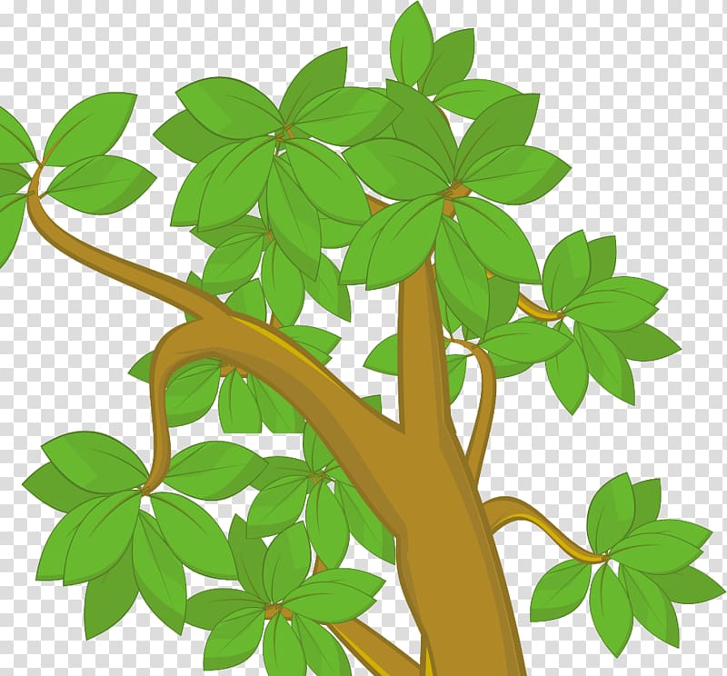 Tree Drawing Cartoon , BAY LEAVES transparent background PNG clipart