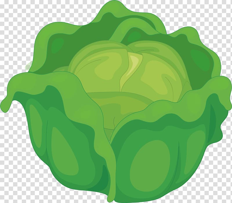 Cabbage Vegetable Computer file, Green cabbage transparent background PNG clipart