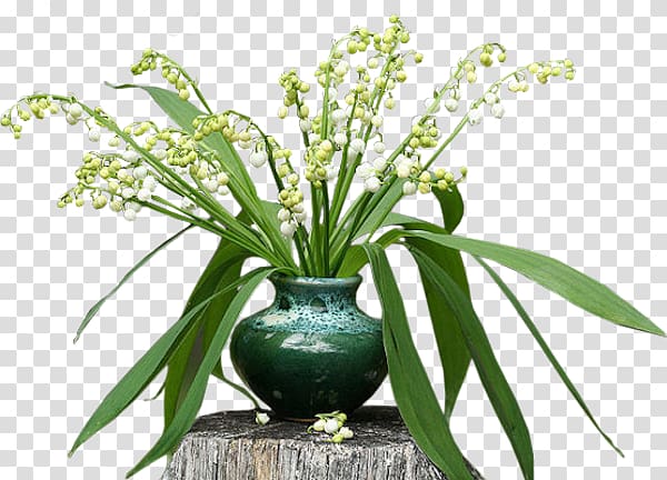 Lily of the valley 1 May Floral design, lily of the valley transparent background PNG clipart