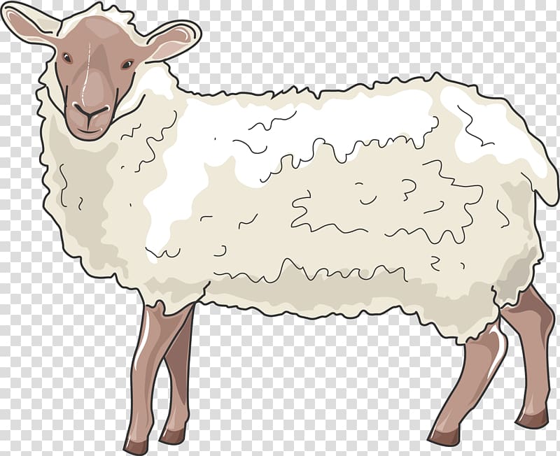 Barbary sheep Cattle Ox Horn, sheep transparent background PNG clipart