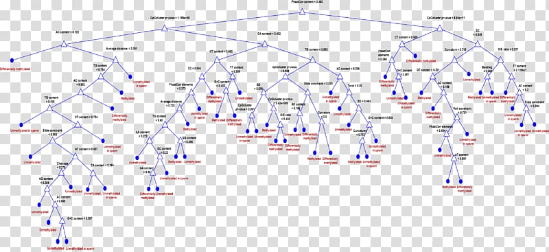 Diagram Line Decision tree Point Angle, line transparent background PNG clipart