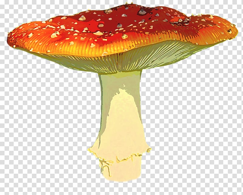 Mushroom , Amanita Muscaria transparent background PNG clipart
