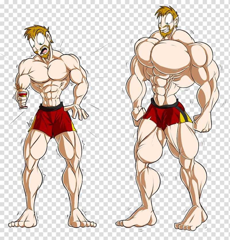 Muscle hypertrophy Furry fandom Cartoon, muscles transparent background PNG clipart