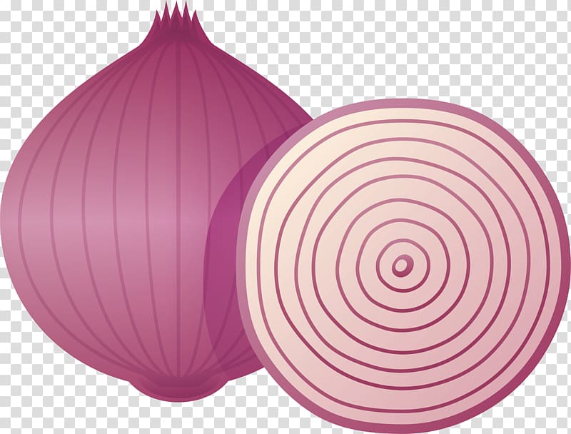 cartoon purple onion