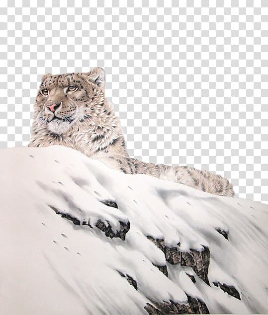 The Snow Leopard Tiger Lion, Snowflakes on the snow lying on the leopard transparent background PNG clipart