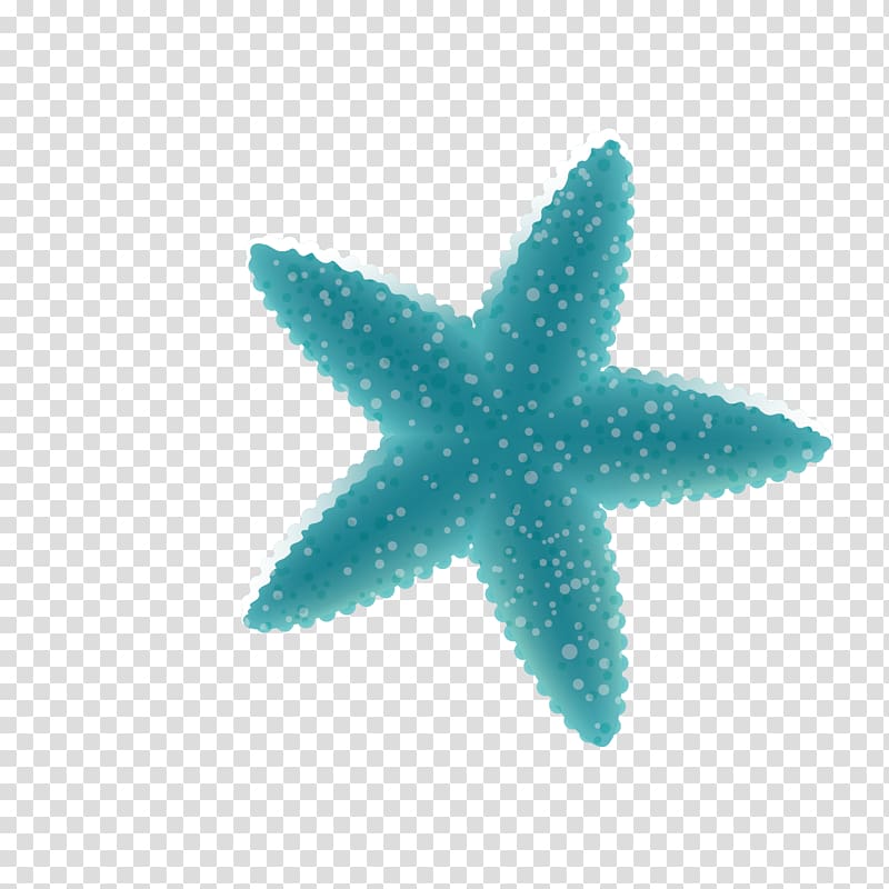 teal starfish , Deep sea creature Cartoon Ocean, blue starfish decoration transparent background PNG clipart