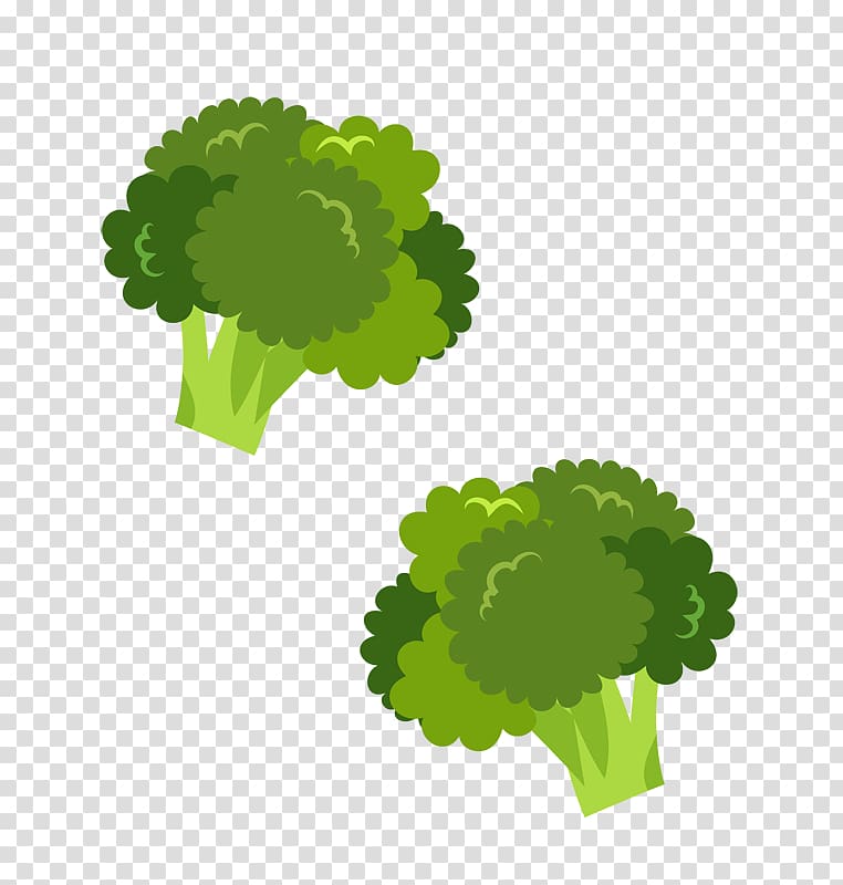 Bento Broccoli Vegetable Food, broccoli transparent background PNG clipart