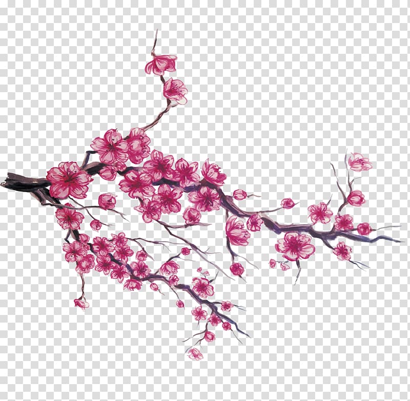 pink flowering tree illustration, Japan Cherry blossom , Hand-painted Japanese cherry transparent background PNG clipart