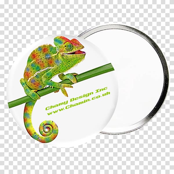 Chameleons Real World Psychology Reptile Iguanomorpha Animal, promotional panels transparent background PNG clipart