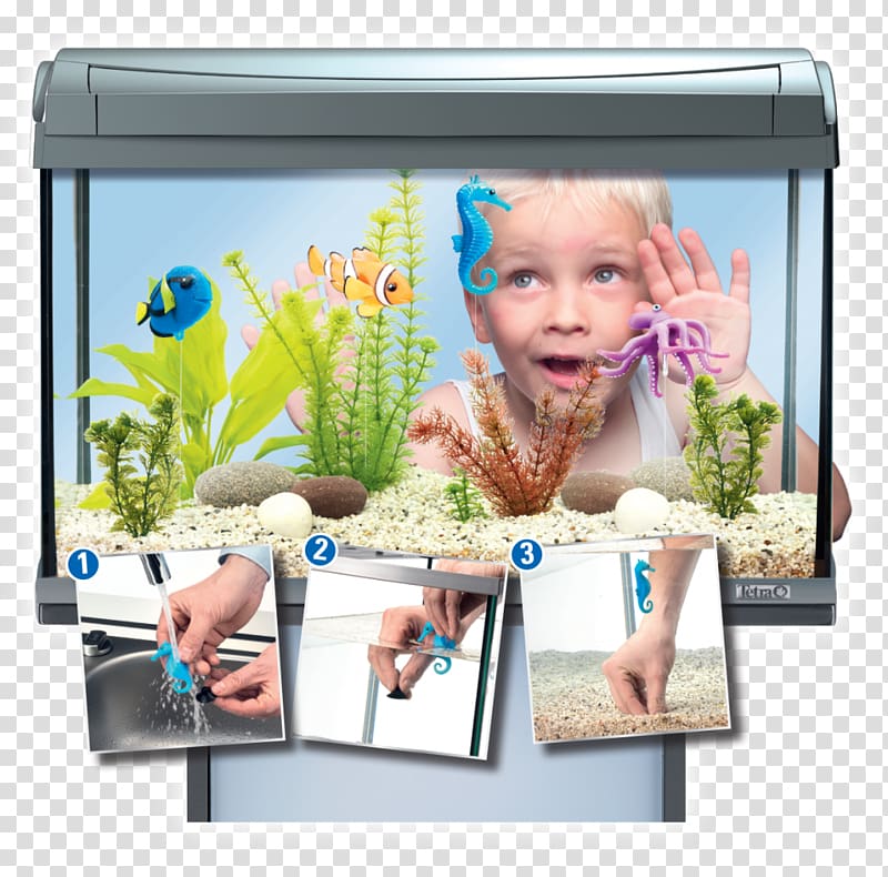 Tetra Melle Aquarium Fishkeeping, aquarium fish transparent background PNG clipart