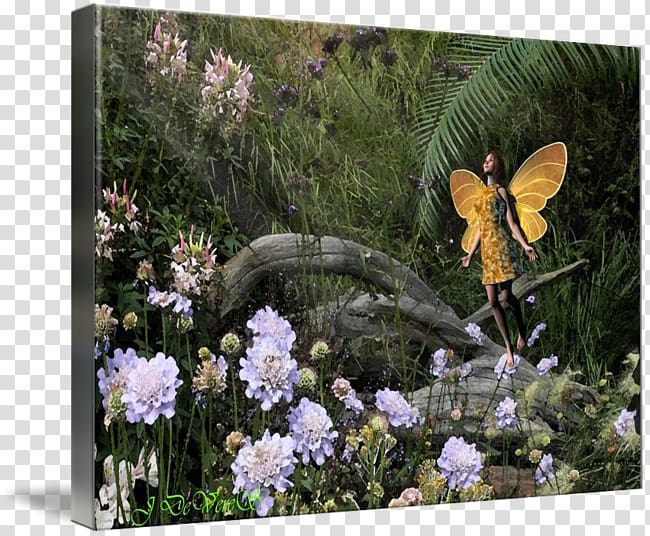 Fauna Gallery wrap Garden Canvas Art, Prayer mat transparent background PNG clipart