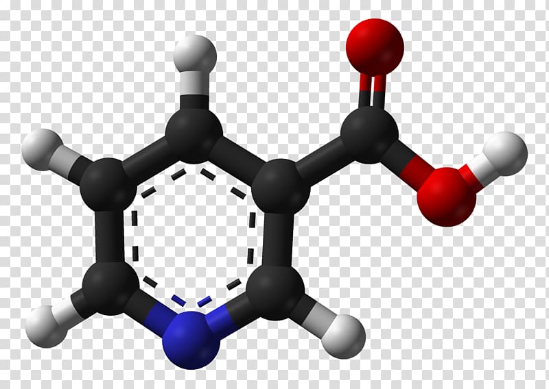 Niacin Salicylic acid Organic compound Chemical compound, Vitamin B3 transparent background PNG clipart