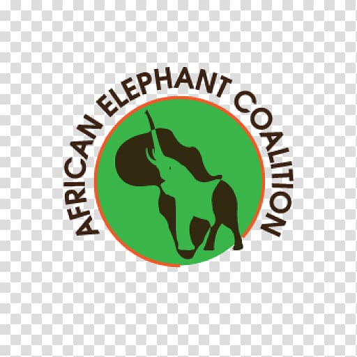 African elephant Lion Elephantidae Save the Elephants, lion transparent background PNG clipart