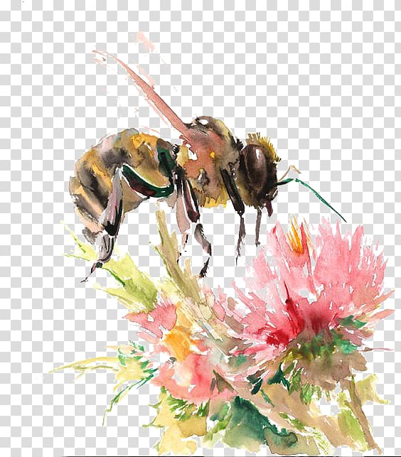 yellow bee perched on pink petaled flowers art, Bee Watercolor: Flowers Watercolor painting Drawing, flowers transparent background PNG clipart