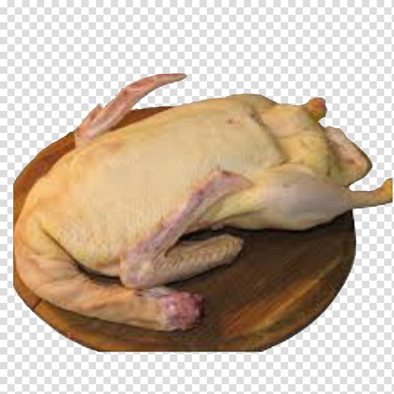 Domestic duck Turkey meat Bird Chicken, duck transparent background PNG clipart