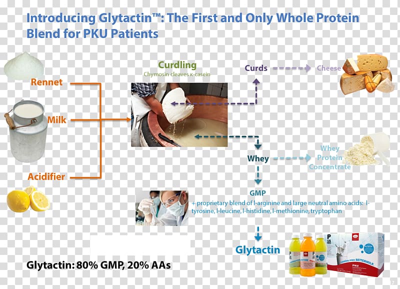 Phenylketonuria Food Phenylalanine Low-protein diet, gmp transparent background PNG clipart