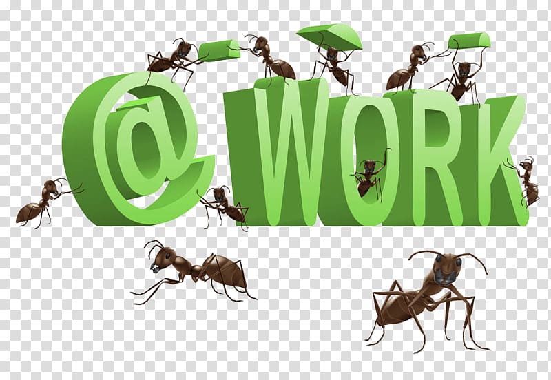 Ants At Work , The letter carries ants transparent background PNG clipart