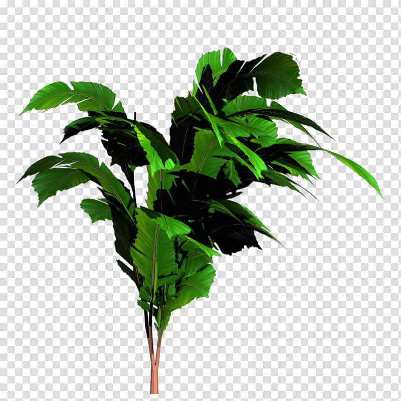 green leafed plant illustration, Banana Tree, Jungle Tree transparent background PNG clipart
