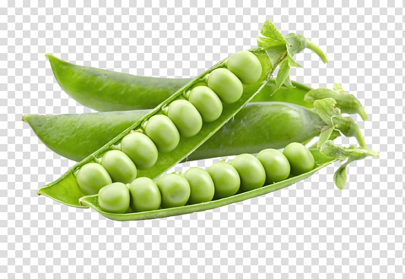 Pea transparent background PNG clipart