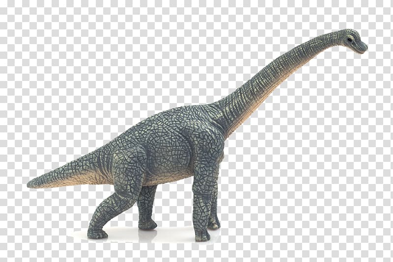 Brachiosaurus Triceratops Dinosaur Tyrannosaurus Spinosaurus, dinosaur transparent background PNG clipart