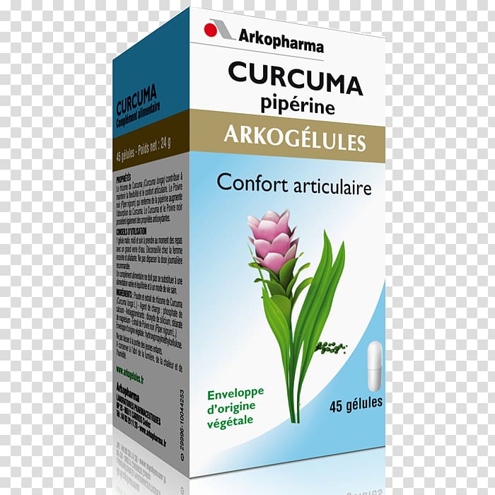 Dietary supplement ARKOPHARMA Laboratories, Company Limited. Capsule Pharmacy Propolis, curcuma transparent background PNG clipart