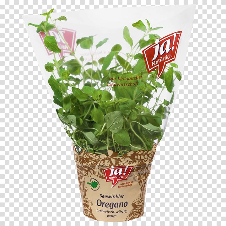 Ja! Natürlich Herb Short ribs MERKUR Warenhandels AG Flowerpot, Marjoram transparent background PNG clipart