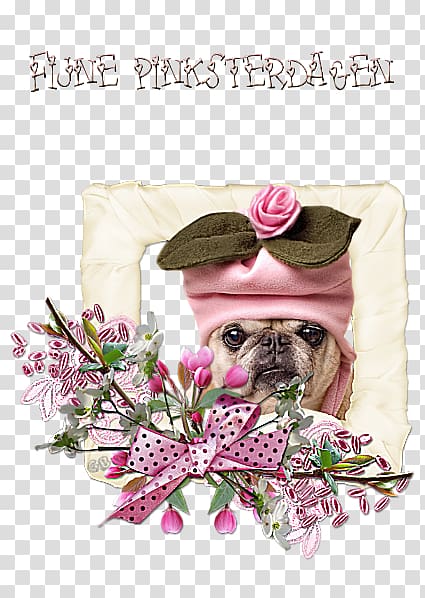 Pug Painting Floral design Flower, feast of the holy spirit transparent background PNG clipart