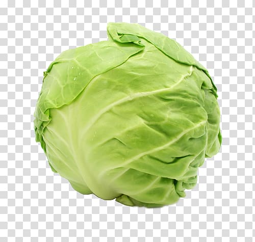Capitata Group Savoy cabbage Chinese cabbage Leaf vegetable, vegetable transparent background PNG clipart