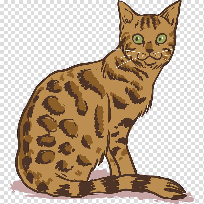 Bengal cat Persian cat Siamese cat Burmese cat Donskoy cat, kitten transparent background PNG clipart