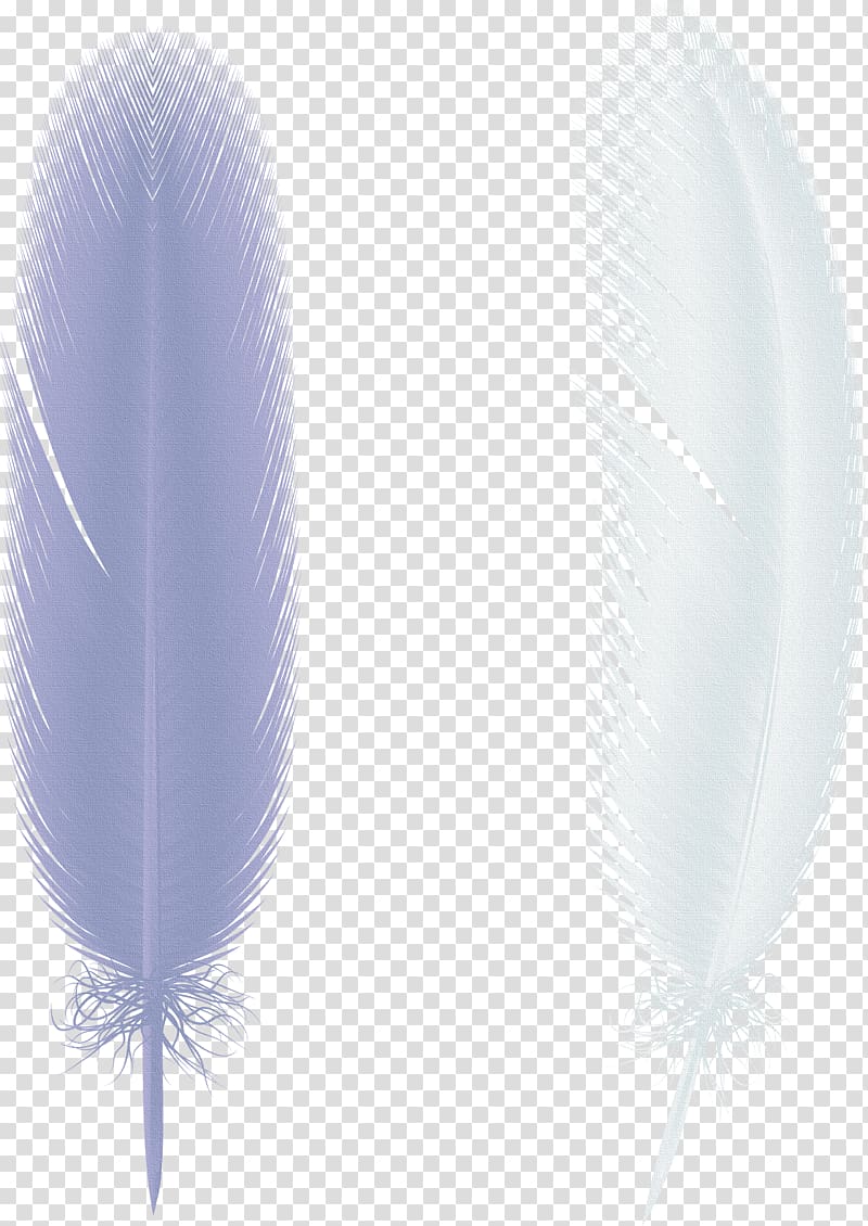 Butterfly Feather Paper Bird Wing, Creative paper butterfly wings,feather transparent background PNG clipart