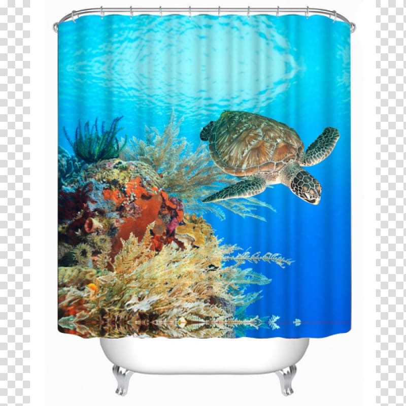 Sea turtle Coral reef, underwater world transparent background PNG clipart