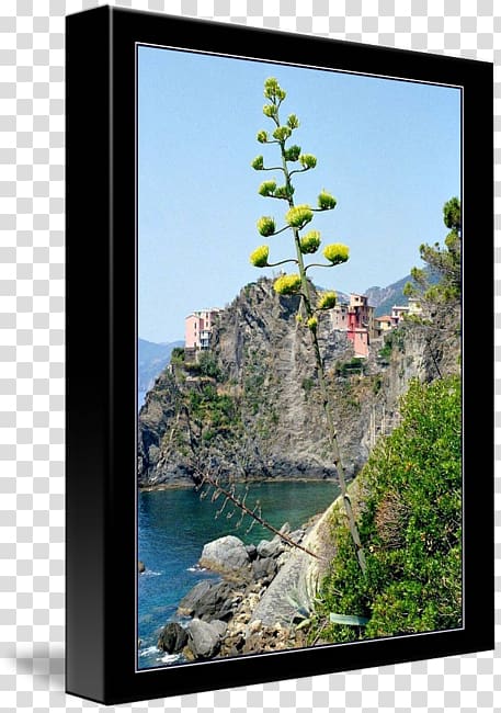 Frames Tree Sky plc, Cinque Terre transparent background PNG clipart