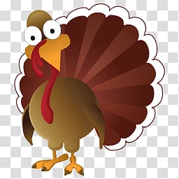 Turkey transparent background PNG clipart