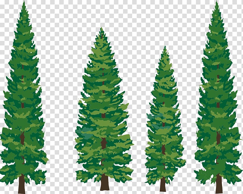 Tree Pine Fir Evergreen , Pine Tree Illustration transparent background PNG clipart