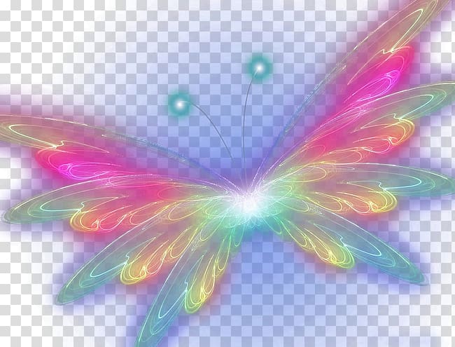 Butterfly Computer , Colorful butterfly transparent background PNG clipart