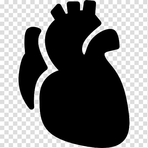 Heart Anatomy Computer Icons, heart transparent background PNG clipart