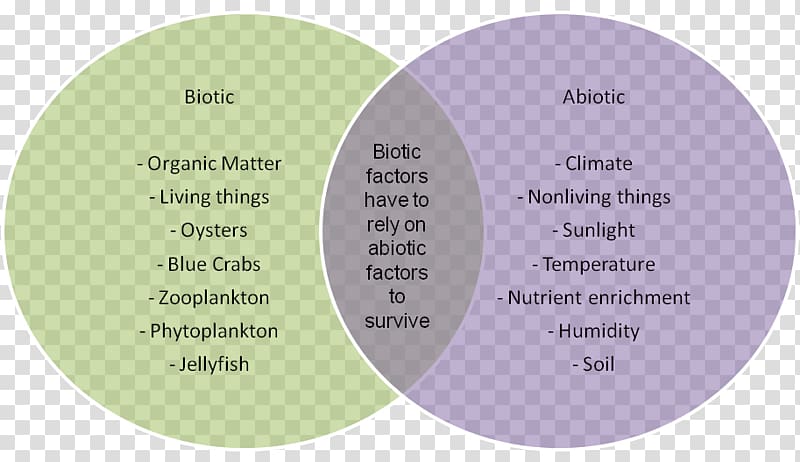 Abiotic component Animal .com Mixture, Player Versus Environment transparent background PNG clipart