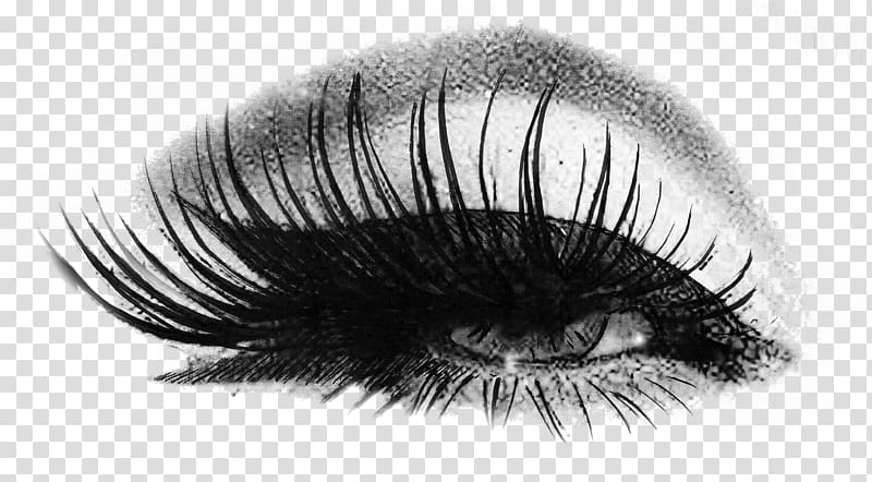 black false eyelashes art, Eyelash extensions Lush Cosmetics Artificial hair integrations, eyelashes transparent background PNG clipart