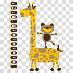 Free Human Height Chart - Download in PDF