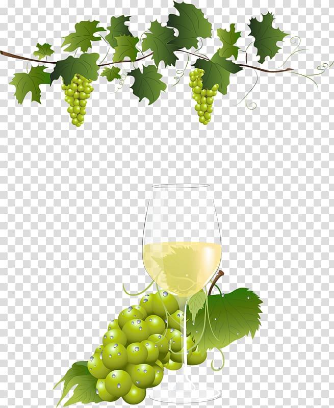Grape Vine Wine , grape transparent background PNG clipart