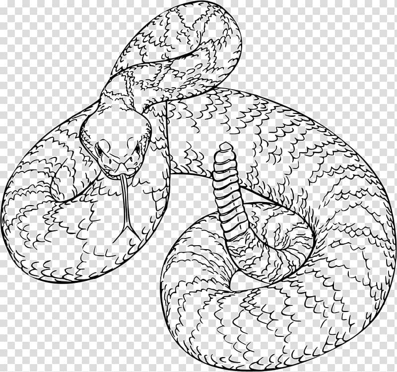 rattlesnake outline