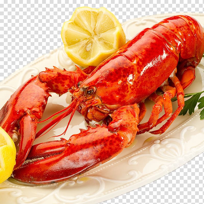 Lobster Seafood Caridea Crab Cooking, Import delicious Boston lobster transparent background PNG clipart