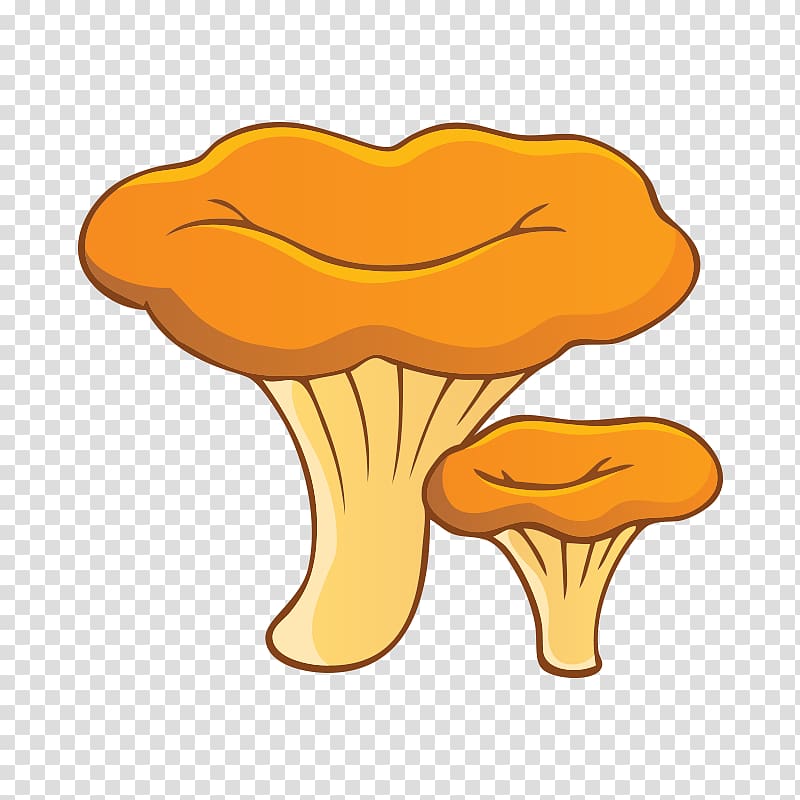 Chanterelle Fungus Edible mushroom Morchella, mushroom,fungus transparent background PNG clipart