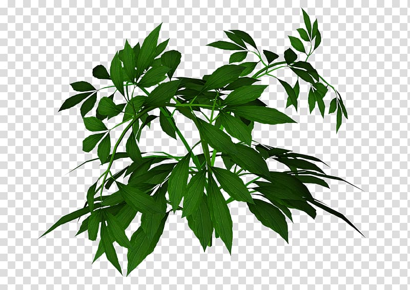 Leaf Cartoon Plant stem, cow girl transparent background PNG clipart
