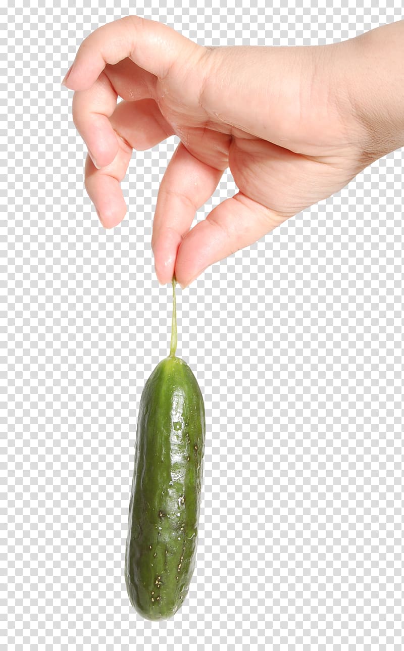 person holding pickle, Cucumber Vegetable Fruit Cat, Hand Holding Cucumber transparent background PNG clipart